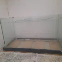 آکواریوم ماهی
