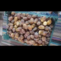 خرما رطب درجه یک