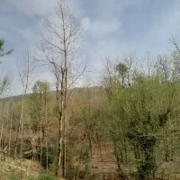فروش زمین ۴۲۰متری مسکونی