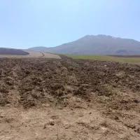 زمین-117متر-کوی-زیتون