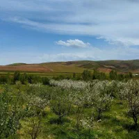 فروش باغ 3 هـزار متری