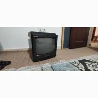 تلویزیون برای نگهبان
