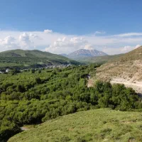 عسل طبیعی و گرده گل مرغوب رشته کوه سهند