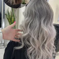 دستیار رنگ ولایت