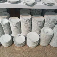 پیش‌دست شیرین خوری چینی  دستی ۱۸۰ تومان،