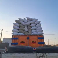 خارشتر