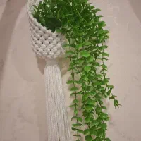 آویز گلدان مدل لانه پرنده