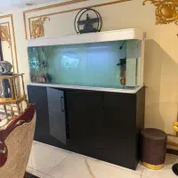 فروش اکواریوم