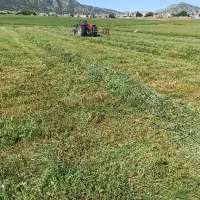 یونجه بسته بندی شده