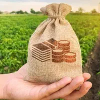 کود ارگانیک،افزایش توناژ،کیفیت بالاتر،هزینه کمتر