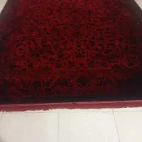 فرش لاکی مخمل نما ده روز نیست خریدمش