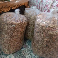 باقالی خشک اعلا،تضمینی،زیر قیمت بازار