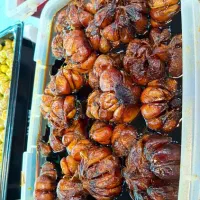 سیر شمالی