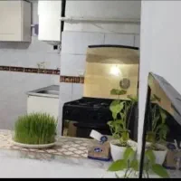 سوییت