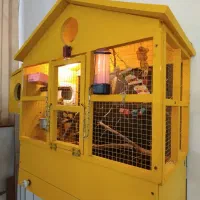 عروس هلندی باقفس دست ساز ضد اب