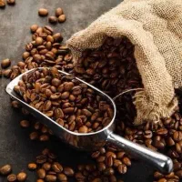 فروش عمده قهوه