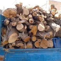 خریدار چوب و ریشه درختان مرکبات و باغی