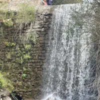 طبیعت گردی
