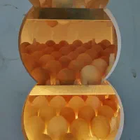 دستگاه جوجه کشی اشتراکی