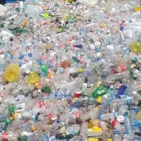 نیروی کار خانم برای تفکیک پت