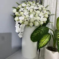 گل بله برون.زائر.نوزادی.تولد.خواستگاری