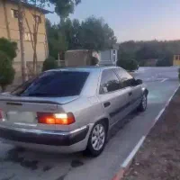 زانتیا ۸۴