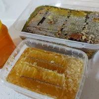 عسل صددرصدطبیعی اورامانات