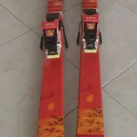 چوب اسکی آلپاین