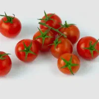 فروش کوجه گیلاسی