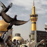 تور های مشهد وصال