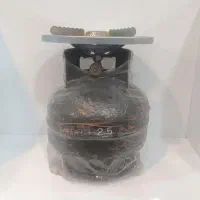 پیک نیک ۲/۵ کیلویی نو