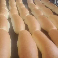 نان باگت هات داگی
