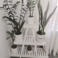 استند گل
