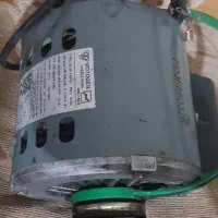 دینام کولرابی