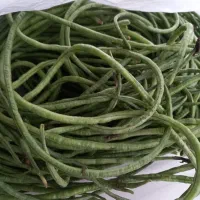 لوبیا شلاقی (سبز)