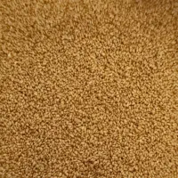 خاکشیر تمیز و بهاره