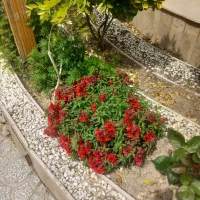 آماده نگهبانی وباغبانی درباغ ویلا هستم