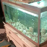 اکواریوم فورش فوری