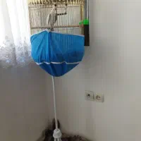 قفس پرنده
