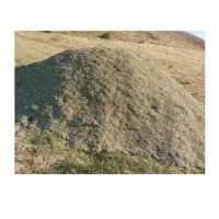 علف خرمن کوب شده