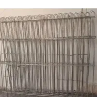 پارگ سگ