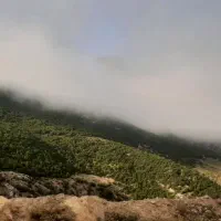 سفر ب اوپرت با هماهنگی اقامتگاه رسمی