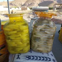 ترشی بیلهر شورم