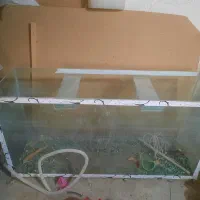 ۲ عدد اکواریم معاوضه