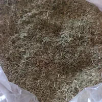 آویشن