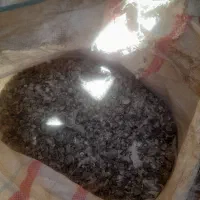 فضولات کبوتر کود