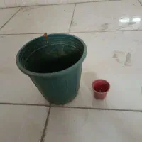 گلدان برای گل و گیاه