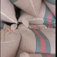 ۱کیسه شالی بذری برنج طارم بوجاری شده