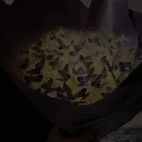 دسته گل پروانه ای جاودان