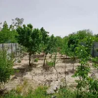 باغ-780-متری-باغبهادران-با-مجوز-ساخت-مسکونی